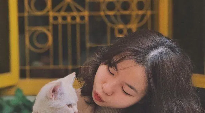Một tấm ảnh xinh xinh của "sen" và "hoàng thượng" (Ảnh: Facebook The Shelter Café)