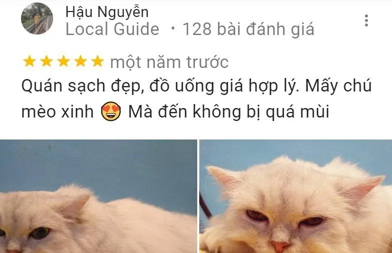 Nhận xét của khách hàng (Ảnh: BlogAnChoi)