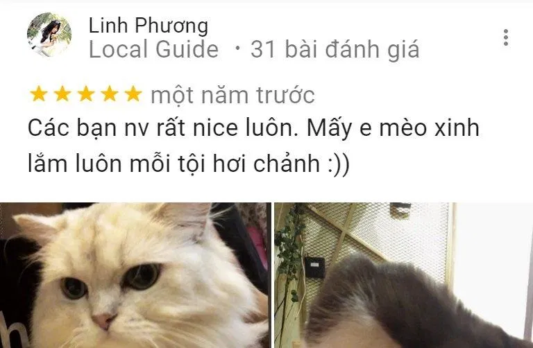Nhận xét của khách hàng (Ảnh: BlogAnChoi)