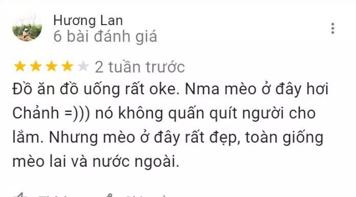 Nhận xét của khách hàng (Ảnh: BlogAnChoi)