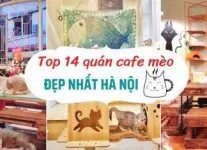 Top 5 quán cafe đẹp, độc, lạ tại Đà Lạt