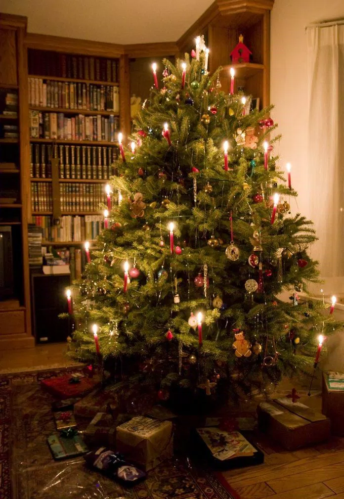 Cây thông Noel được trang trí bằng những ngọn nến. (Ảnh: Internet)