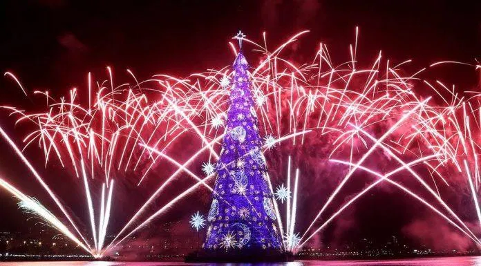 Cây thông Noel nổi trên mặt nước ( Ảnh: Internet)