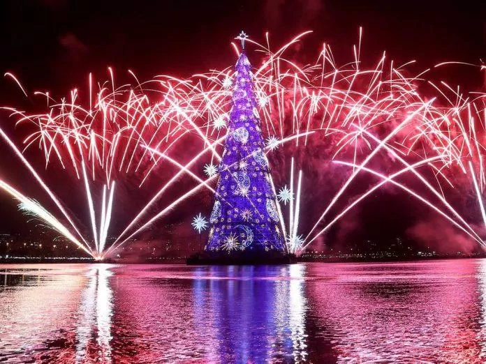 Cây thông Noel nổi trên mặt nước ( Ảnh: Internet)