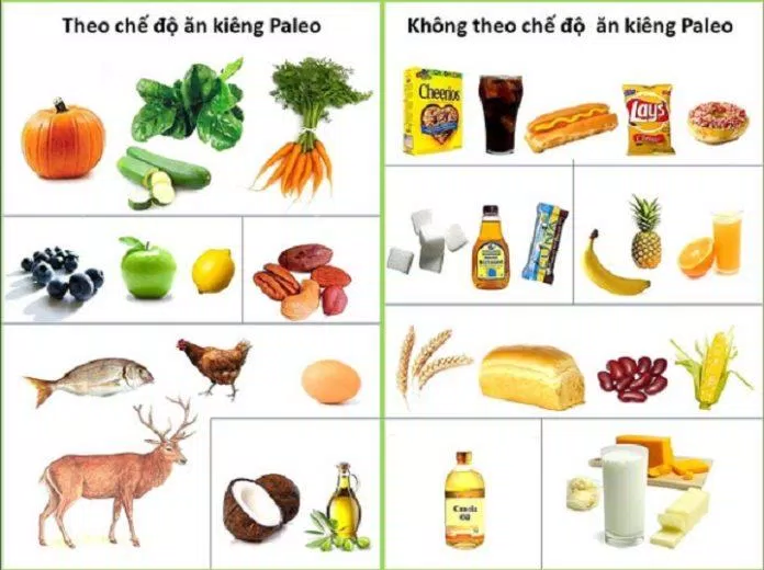 Những loại thực phẩm nên và không nên dùng trong chế độ Paleo (Nguồn: Internet).