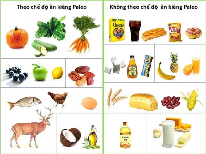 Những loại thực phẩm nên và không nên dùng trong chế độ Paleo (Nguồn: Internet). Những loại thực phẩm nên và không nên dùng trong chế độ Paleo (Nguồn: Internet).