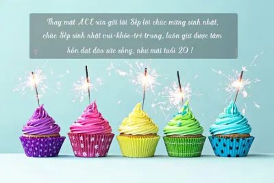 Lời chúc sinh nhật hay cho sếp, đồng nghiệp. (Nguồn: internet) Lời chúc sinh nhật hay cho sếp, đồng nghiệp. (Nguồn: internet)