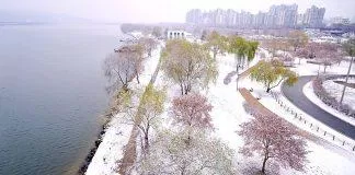 Công viên Gwangnaru góc nhìn từ trên cầu Gwangjin