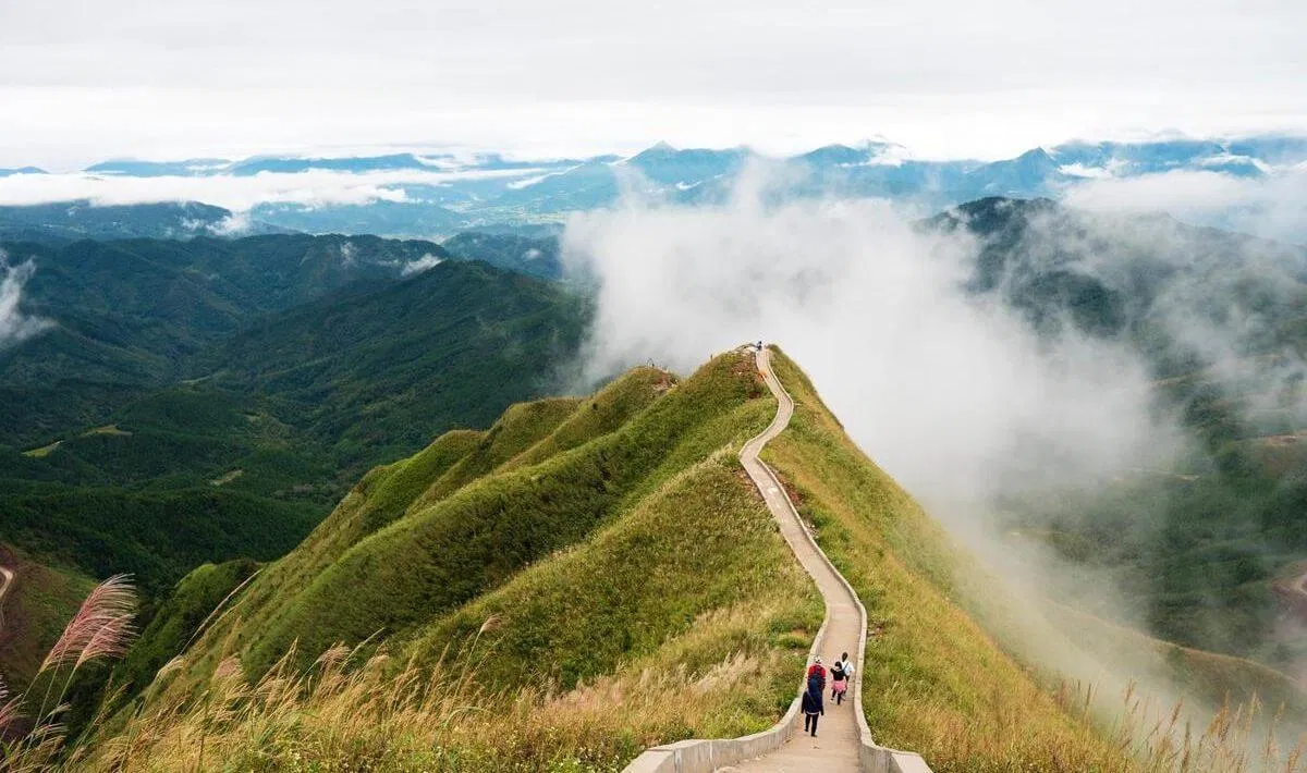 Bình Liêu với những cung đường biên giới nở trắng hoa lau. (Nguồn ảnh: Internet)