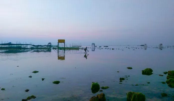 Một góc nhìn tại cảng cá Mỹ Tân
