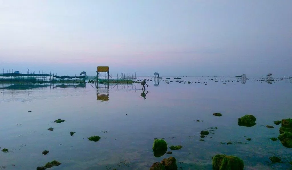 Một góc nhìn tại cảng cá Mỹ Tân