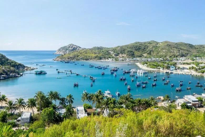 Tại Vịnh Vĩnh Hy