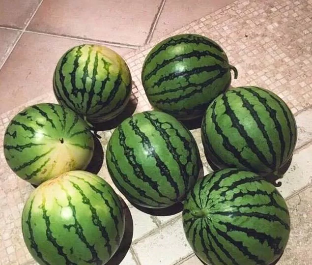 Món quà "nặng" nhất mà Đặng Siêu gửi đến Tôn Lệ (Nguồn: Internet)