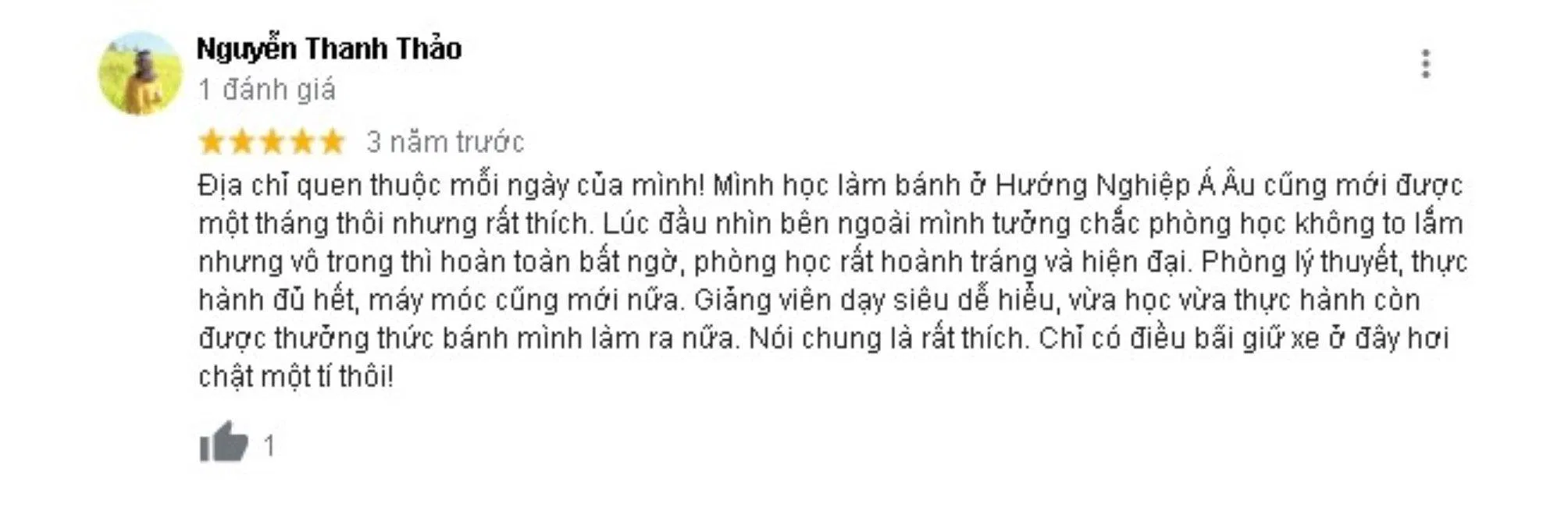 Đánh giá của khách hàng về Trường hướng nghiệp Á - Âu. (nguồn: BlogAnChoi)