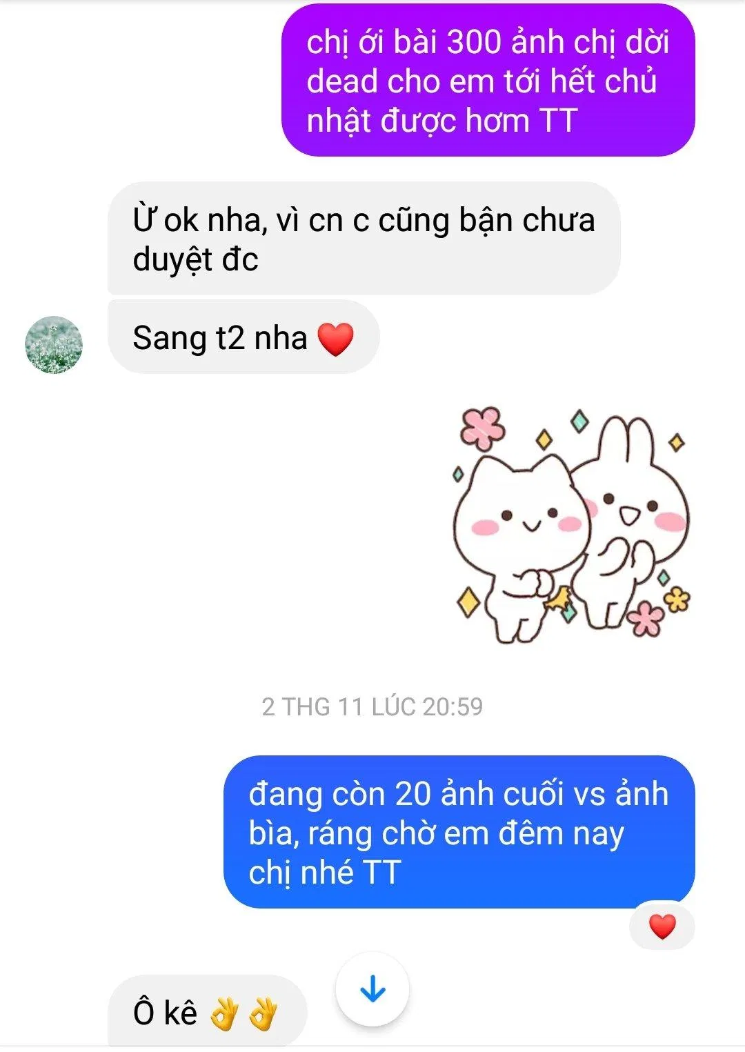 Có những ngày khổ sở xin dời deadline cùng chị biên tập