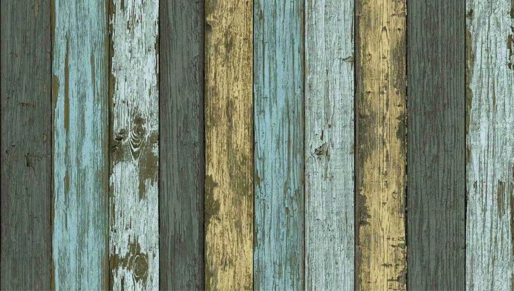 ( ảnh Internet) ( ảnh Internet)