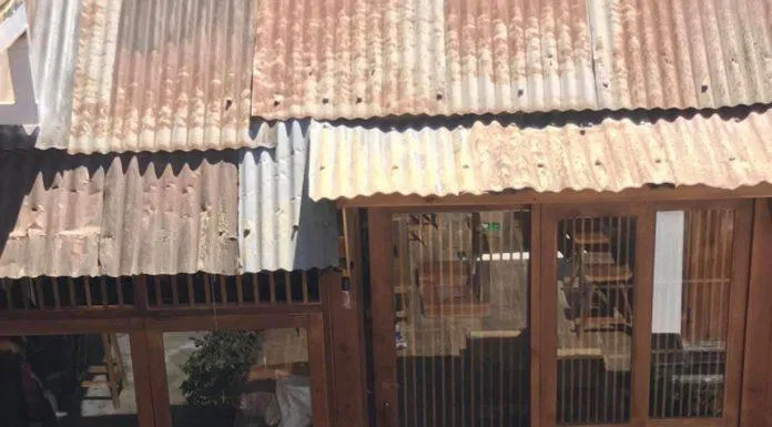 Ocha Tea House có thiết kế theo phong cách Nhật Bản (Nguồn: Facebook Ocha Đà Lạt)