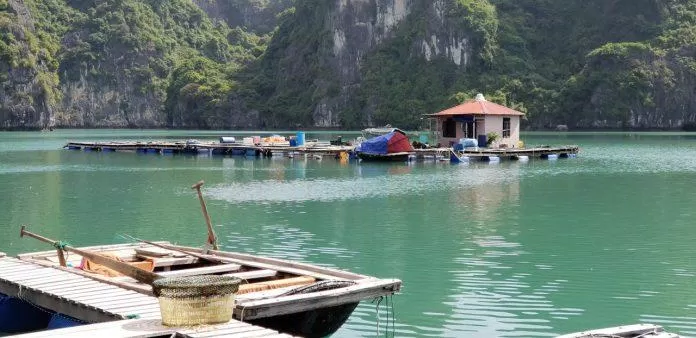 Làng chài Vung viêng mang đậm màu sắc văn hóa của ngư dân Bắc bộ. (Nguồn ảnh: Internet)