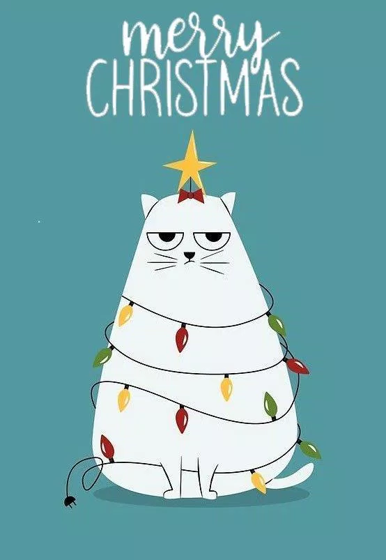 Merry Christmas and Happy New Year. (Ảnh: Internet)