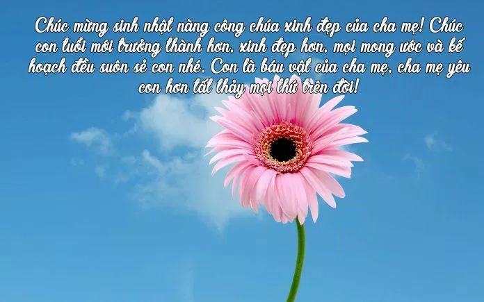 Lời chúc mừng sinh nhật cho con gái