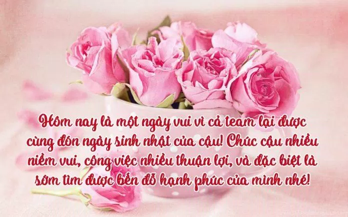 Lời chúc mừng sinh nhật đồng nghiệp