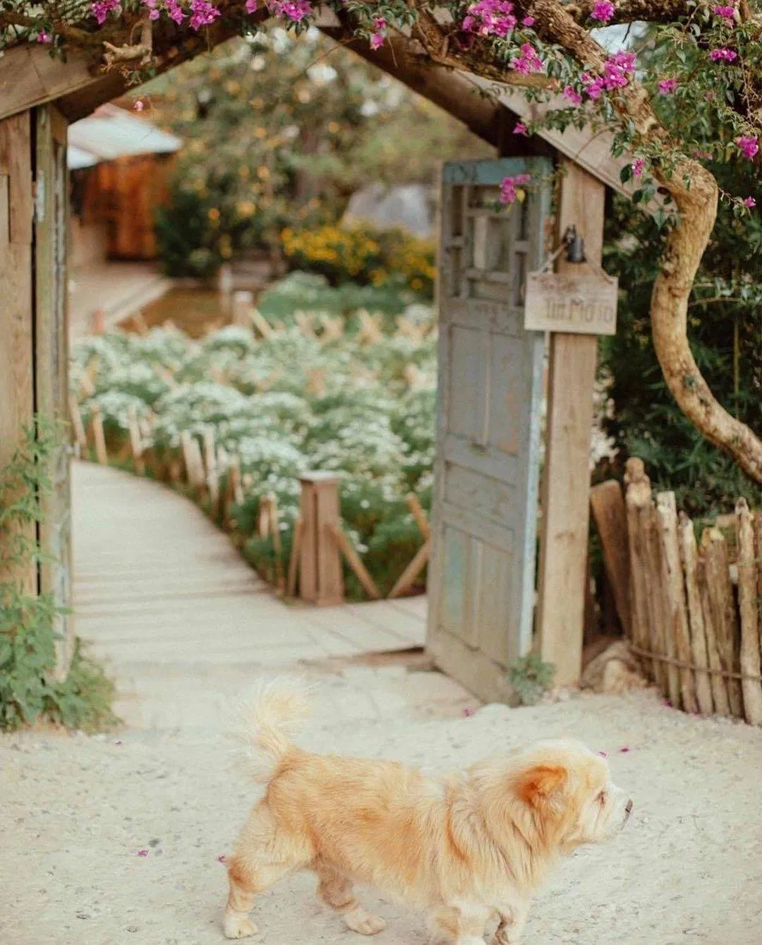 Lối vào cà phê Túi Mơ To (Nguồn: Internet)