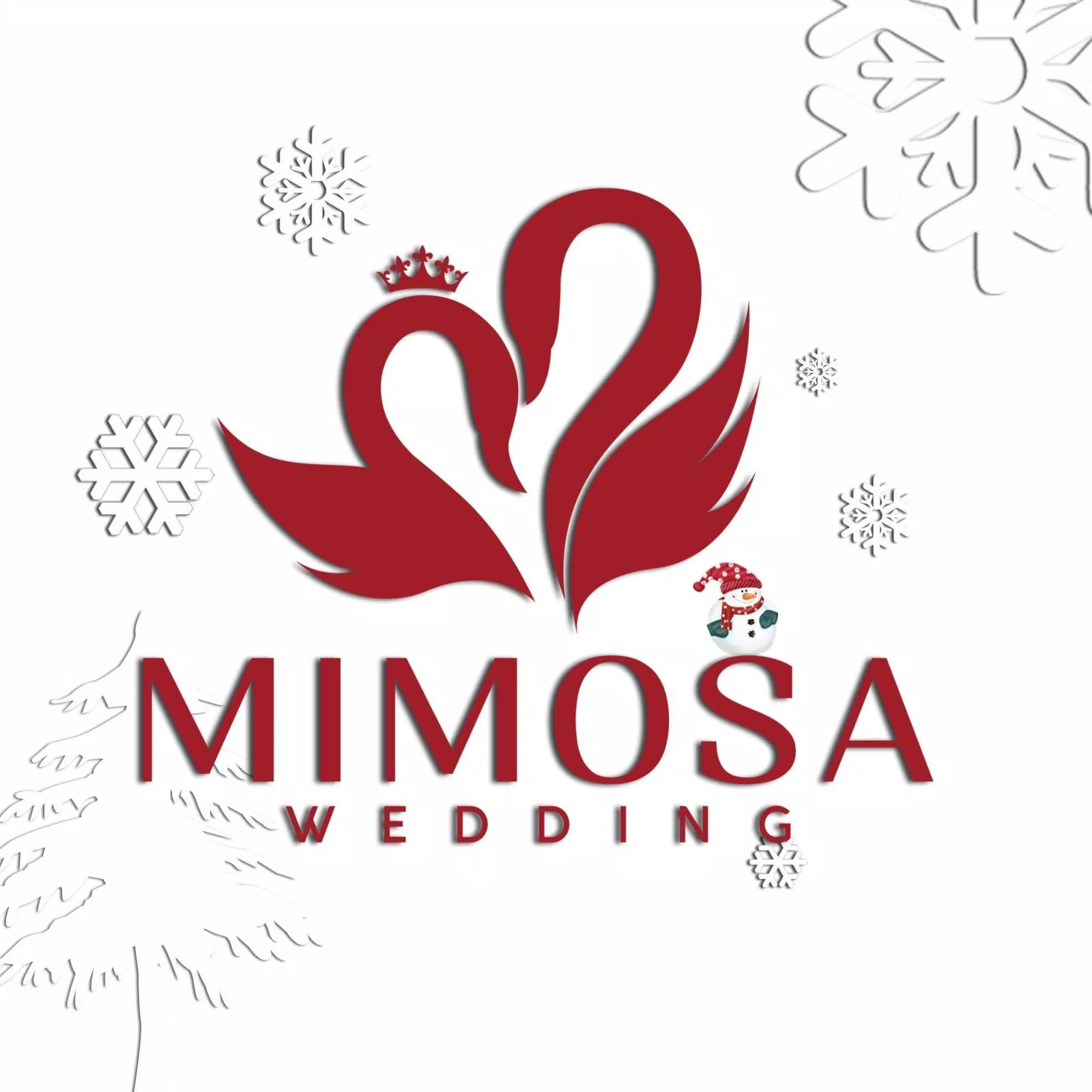 Mimosa Wedding Studio (Ảnh Internet)