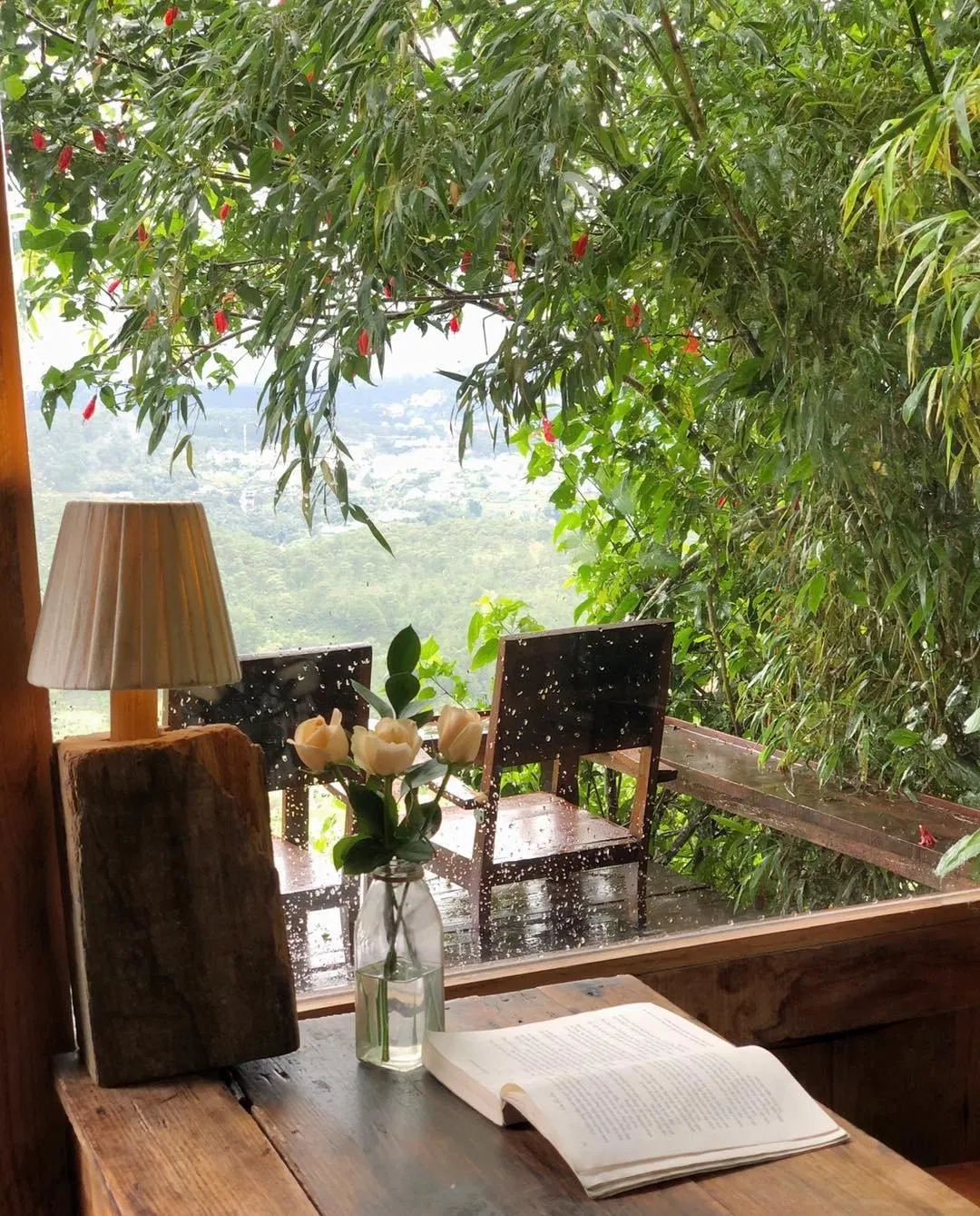 Cheo Veoo là quán cà phê nằm ẩn mình trong khu rừng thông (Nguồn: Internet)