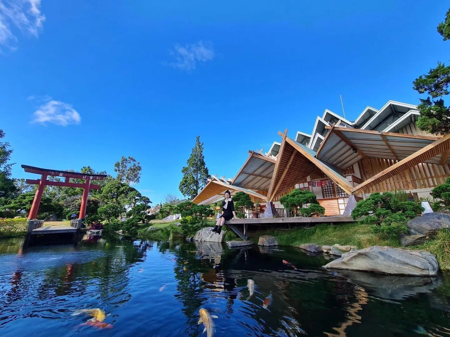 Khung cảnh tuyệt đẹp tại Kokoro Café Nguồn (Internet)