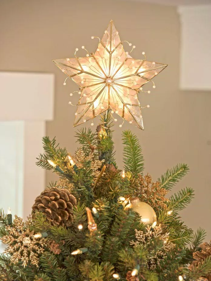 Ngôi sao Noel ( Ảnh: Internet)