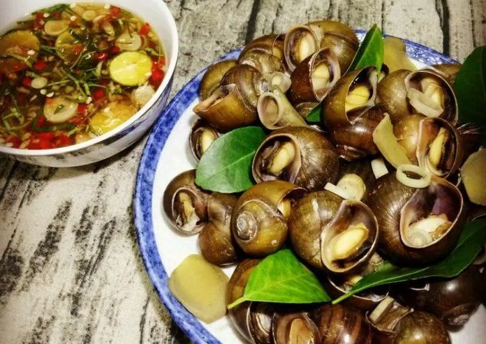 quà vặt mùa đông quà vặt mùa đông