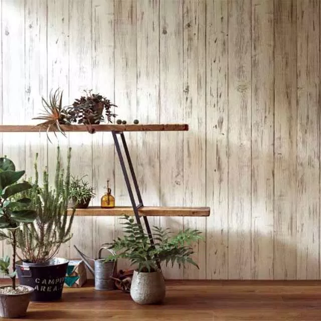 ảnh internet ảnh internet