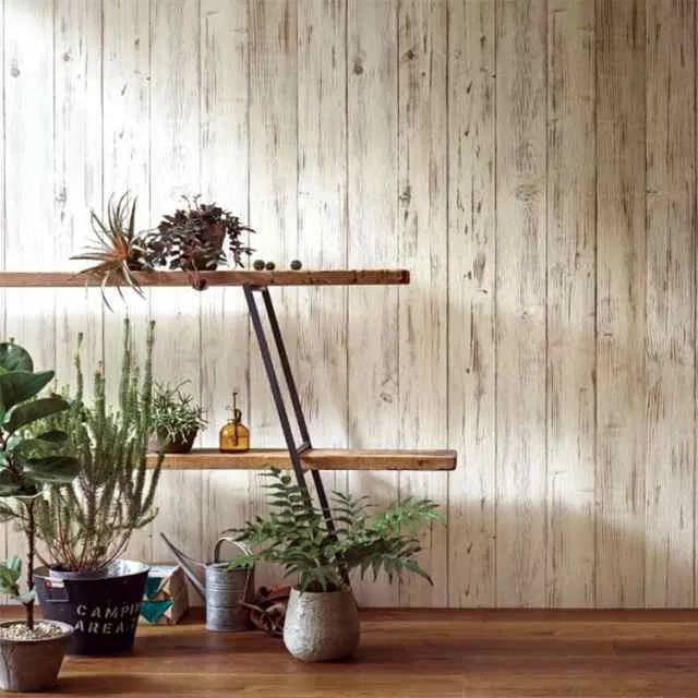 ảnh internet ảnh internet