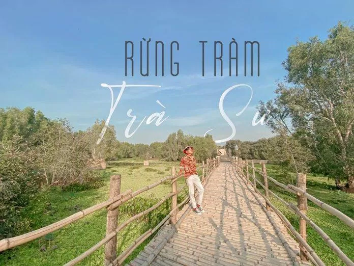 Cầu tre dài nhất Việt Nam được nhiều du khách check - in (Nguồn: Internet)