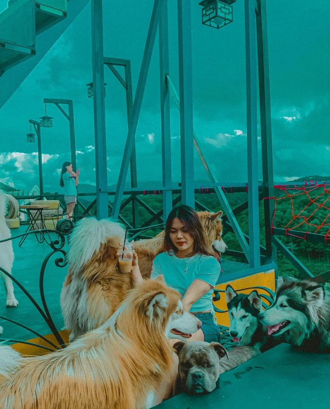 Các chú "boss" ở đây rất thân thiện (Nguồn: Internet)