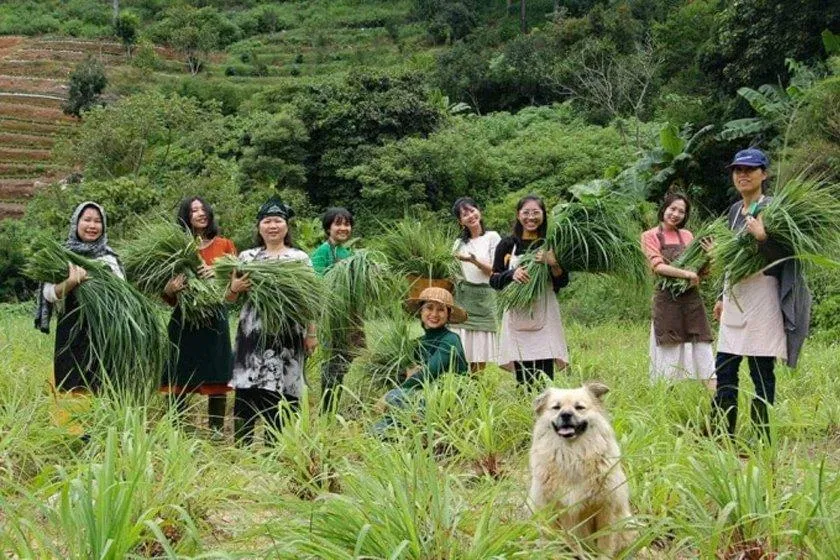Đến đây, mọi người có thể trải nghiệm làm nông cùng nhau (Nguồn: Facebook Ocha Đà Lạt)