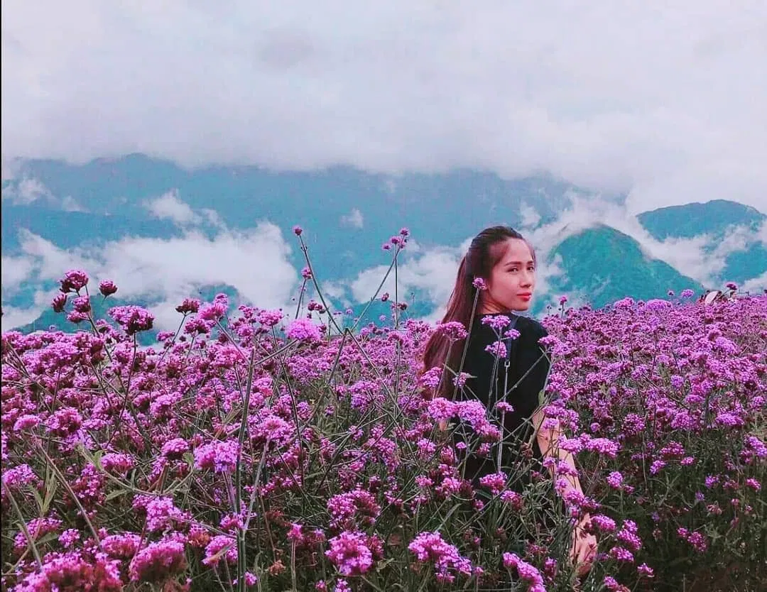 Thung lũng Mường Hoa thu hút rất nhiều du khách (Nguồn: Internet)