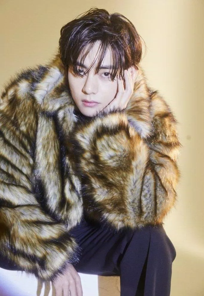 Chào mừng tuổi mới của V, không ít dự án ấn tượng đã và đang được thực hiện (Ảnh: Internet)