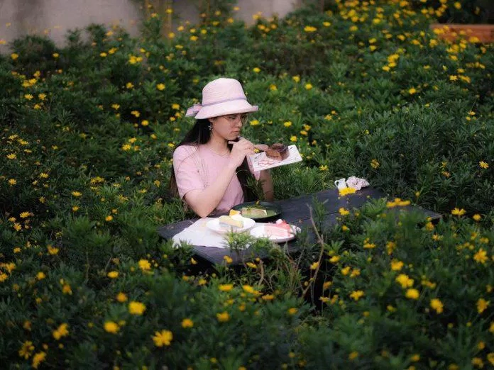Quán có vườn hoa cúc vàng ấn tượng (Nguồn: Internet)