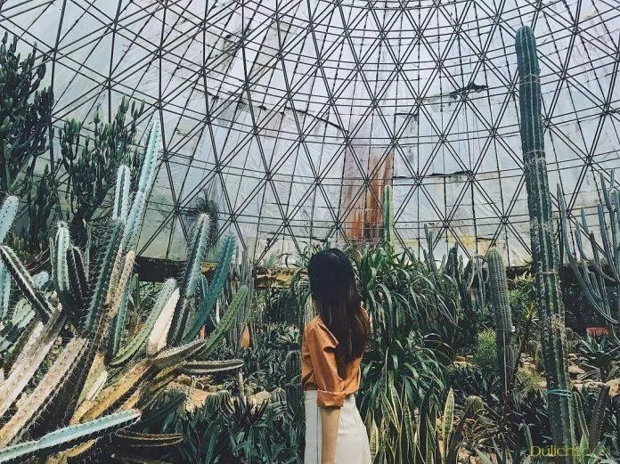TOP 10 địa điểm vui chơi Tết 2021 tại Hà Nội hay ho xịn xò nhất Ba Vì chơi tết công viên công viên nước Hồ Tây Du lịch địa điểm địa điểm vui chơi Tết Dương Lịch Hà Nội Hồ Tây khu du lịch làng cổ list List 10 list địa điểm phố đi bộ Hồ Gươm Tết 2021 thiên đường thông tin Top 10 top list vườn quốc gia Vườn Quốc gia Ba Vì