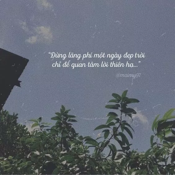 Chúng ta chỉ có một cuộc đời để sống nên hãy sống theo cách mình mong muốn (ảnh: internet)