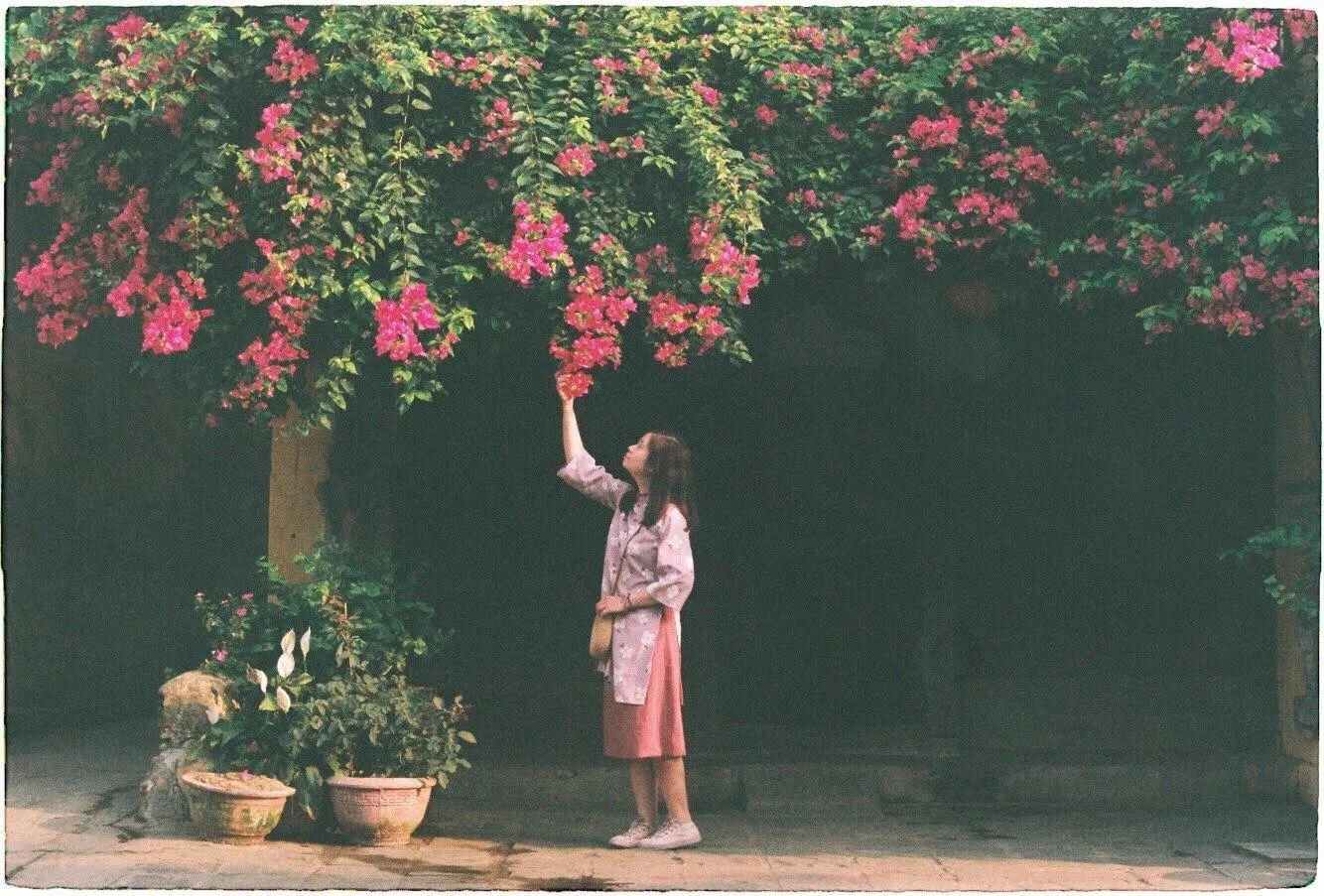 Bức ảnh tôi thích nhất được chụp ở Hội An ( ảnh Instagram ___k.ng___) Bức ảnh tôi thích nhất được chụp ở Hội An ( ảnh Instagram ___k.ng___)