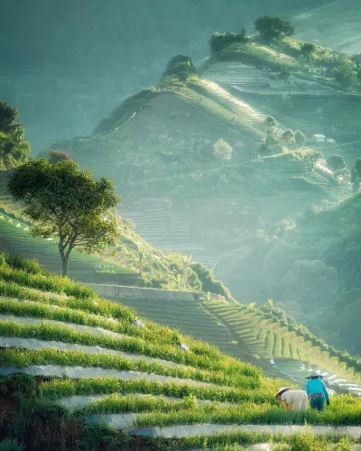 Bức ảnh chụp tại Indonesia này từng tham gia cuộc thi vào năm 2019 (Ảnh: Internet). Bức ảnh chụp tại Indonesia này từng tham gia cuộc thi vào năm 2019 (Ảnh: Internet).