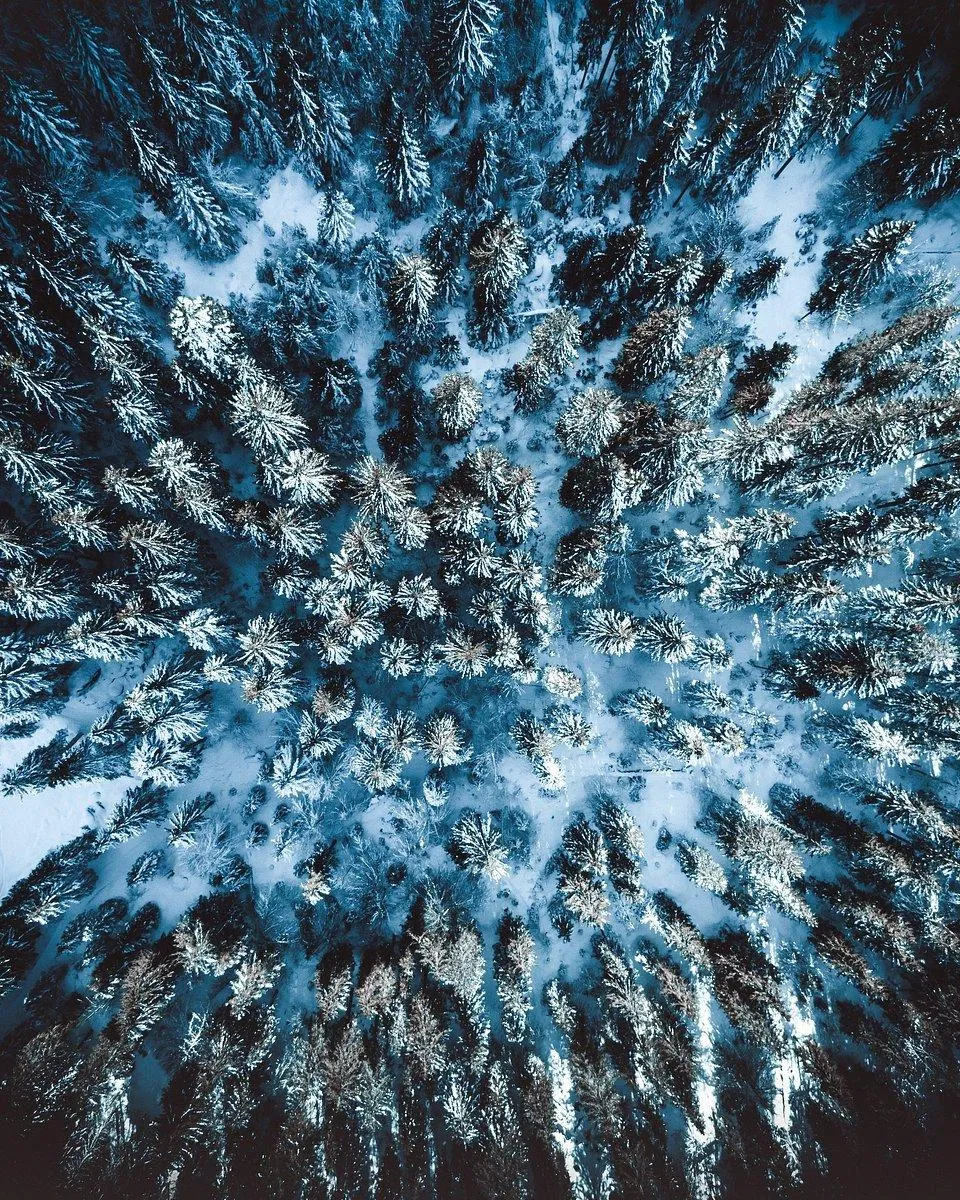 Ảnh chụp tại Flims, Thụy Sĩ (Ảnh: Internet). Ảnh chụp tại Flims, Thụy Sĩ (Ảnh: Internet).