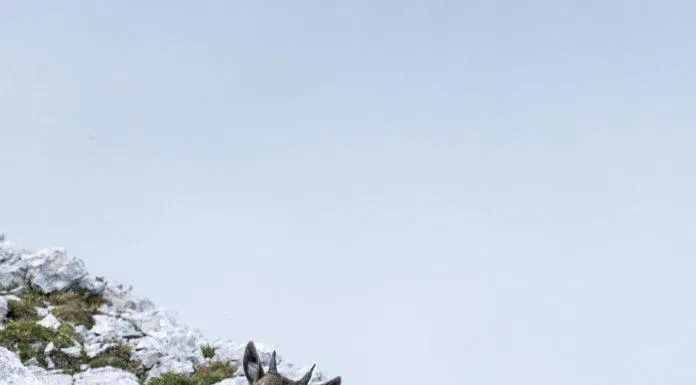 Ảnh chụp tại Belluno, Italy (Ảnh: Internet). Ảnh chụp tại Belluno, Italy (Ảnh: Internet).