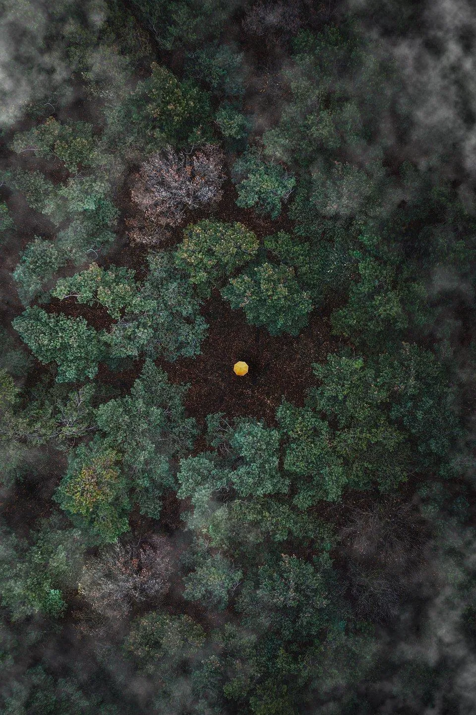 Ảnh chụp tại Antwerp, Bỉ (Ảnh: Internet). Ảnh chụp tại Antwerp, Bỉ (Ảnh: Internet).