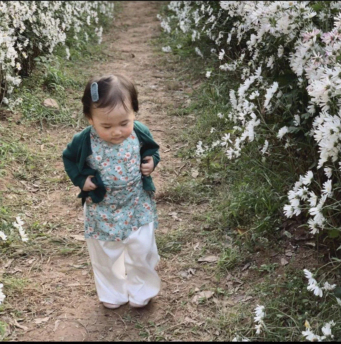 Nụ xuân nhỏ bé ( ảnh Instagram phomaiiii ) Nụ xuân nhỏ bé ( ảnh Instagram phomaiiii )