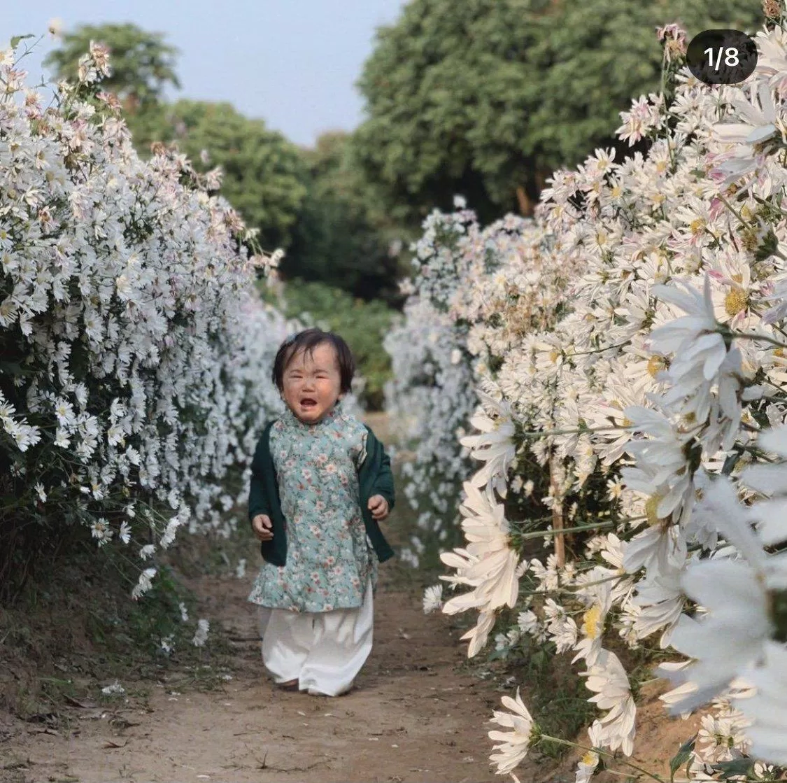 Mong rằng các em nhỏ sẽ có nhiều kỉ niệm với áo dài ( ảnh Instagram phomaiii) Mong rằng các em nhỏ sẽ có nhiều kỉ niệm với áo dài ( ảnh Instagram phomaiii)