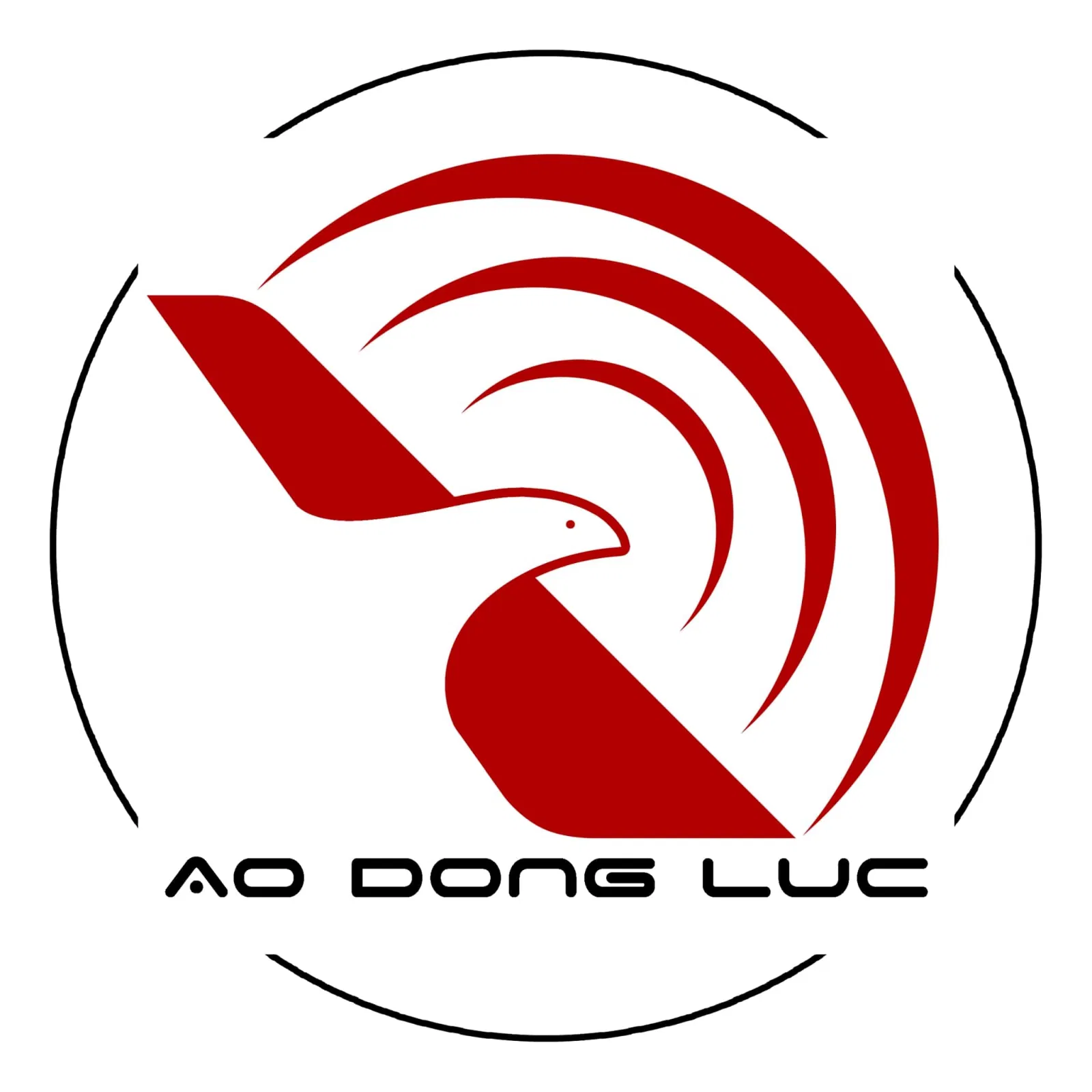 Áo Động Lực Hồ Chí Minh (Ảnh Động Lực)