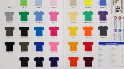 Bảng màu của Áo Động Lực Hồ Chí Minh (Ảnh Internet)